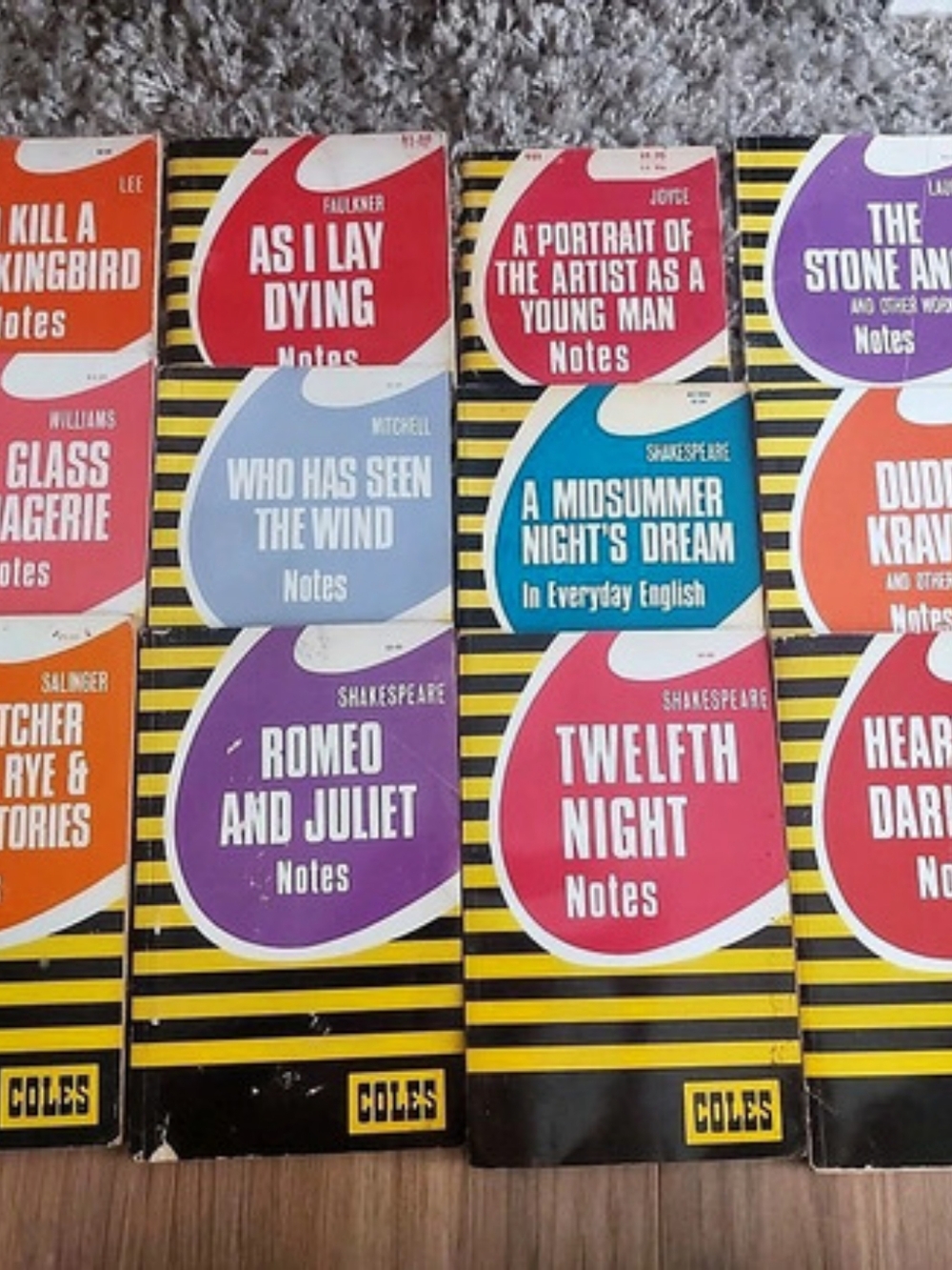 Coles Notes 12 Books Like New